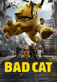 Bad Cat 🎬