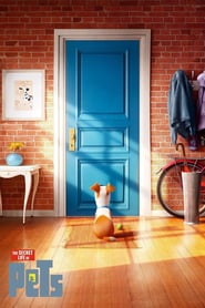 The Secret Life of Pets 🎬